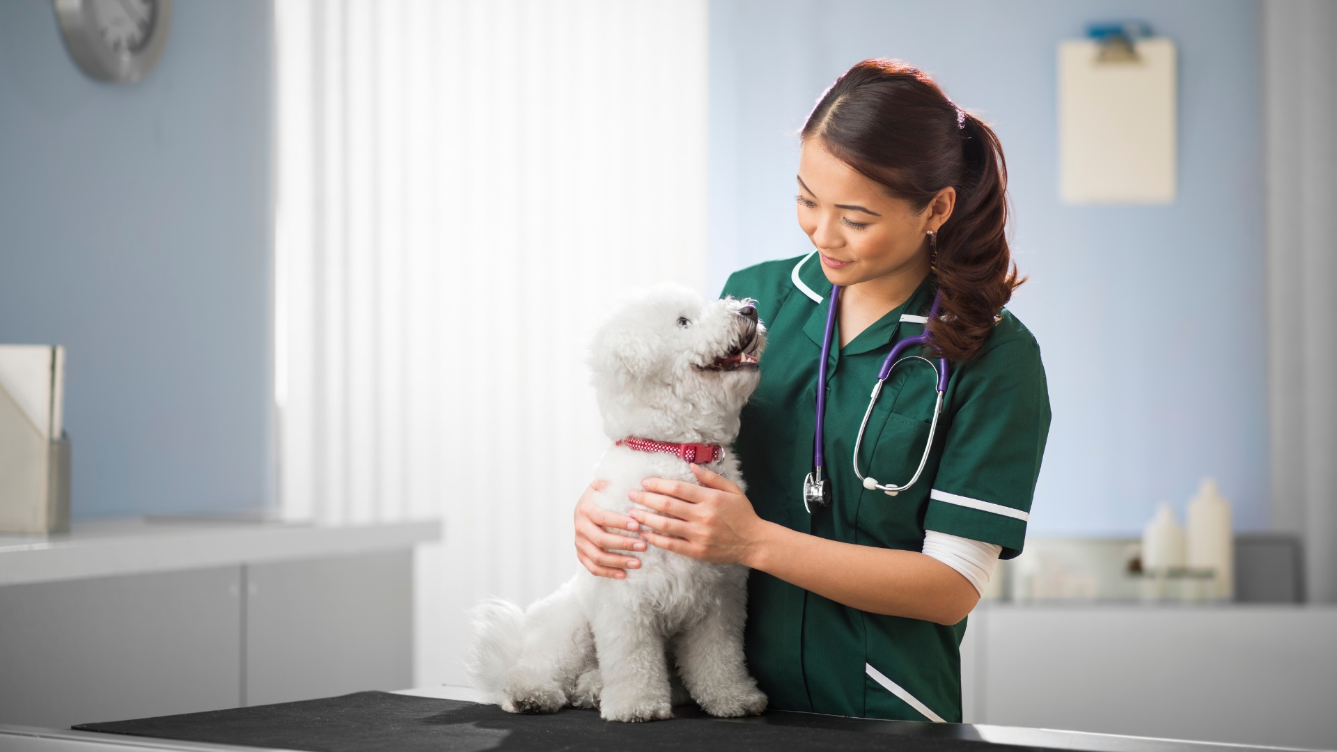 Mental Health Diagnostics for Dogs